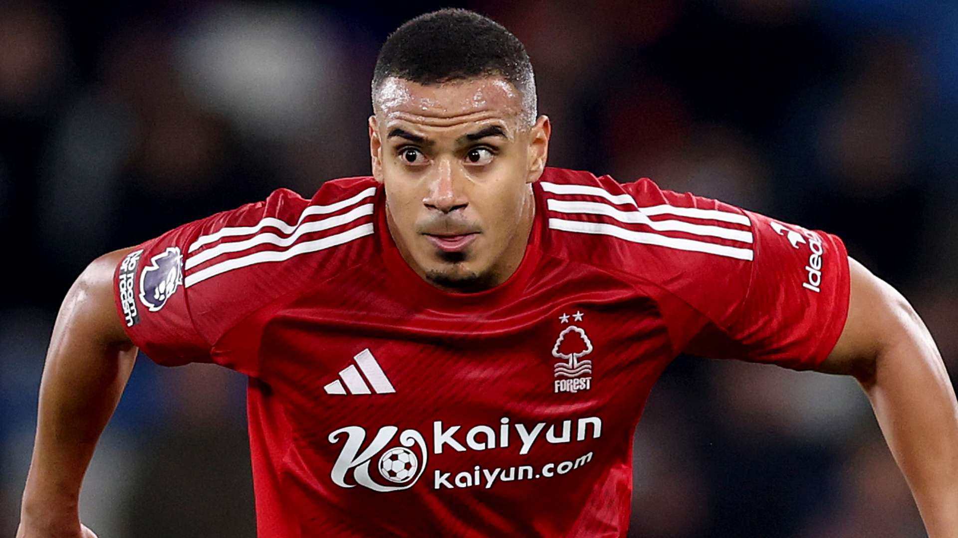 也为年轻运 也为年轻运