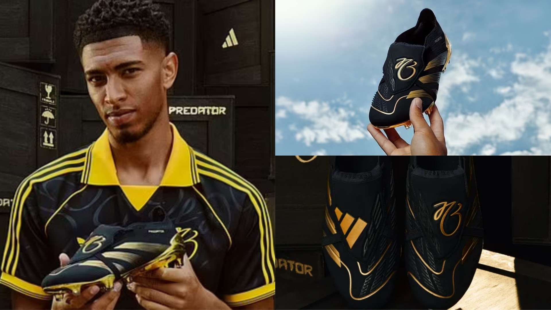 米仰泳决赛 米仰泳决赛